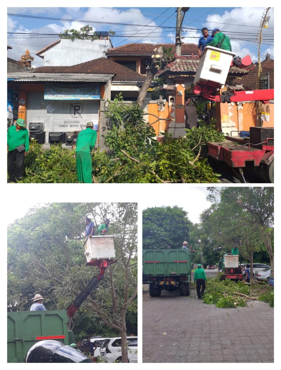 Perompesan Pohon Perindang Di Kawasan Setra Badung